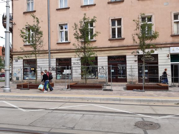 Drzewa na ulicy Krakowskiej