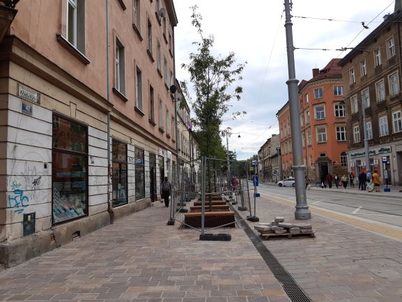 Drzewa na ulicy Krakowskiej