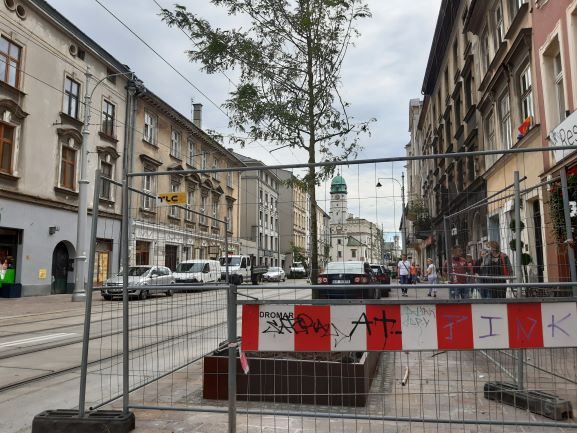 Drzewa na ulicy Krakowskiej