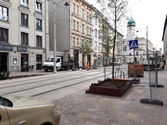 Drzewa na ulicy Krakowskiej