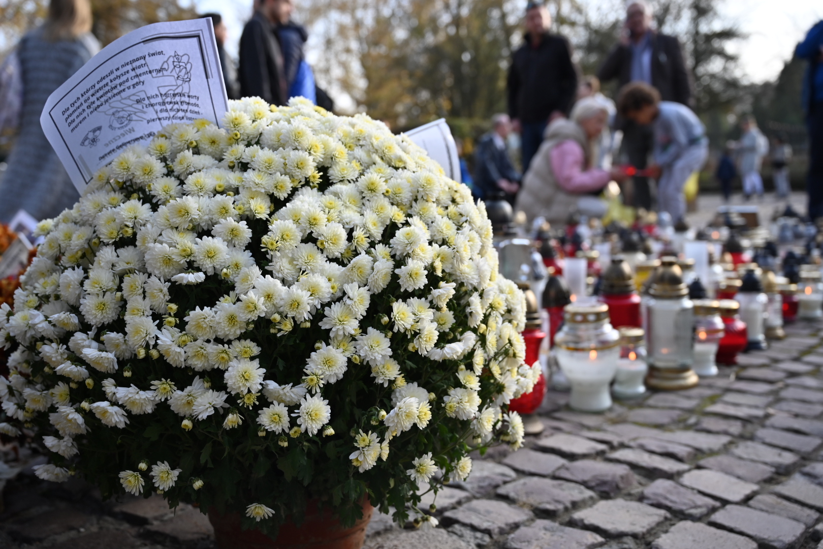 Wszystkich Świętych na Rakowicach