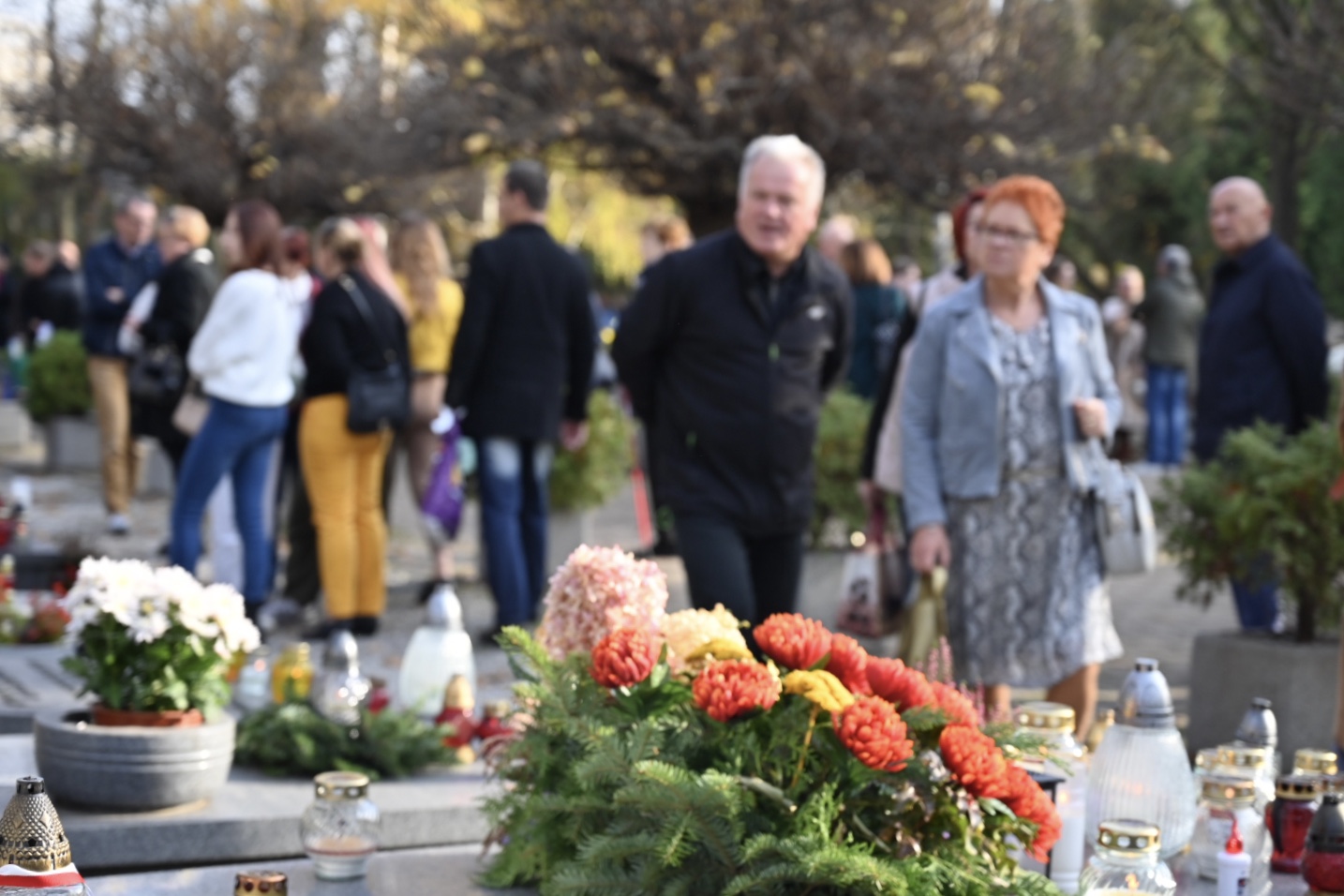 Wszystkich Świętych na Rakowicach