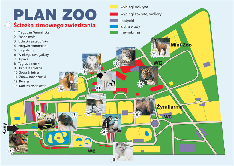 Plan zoo