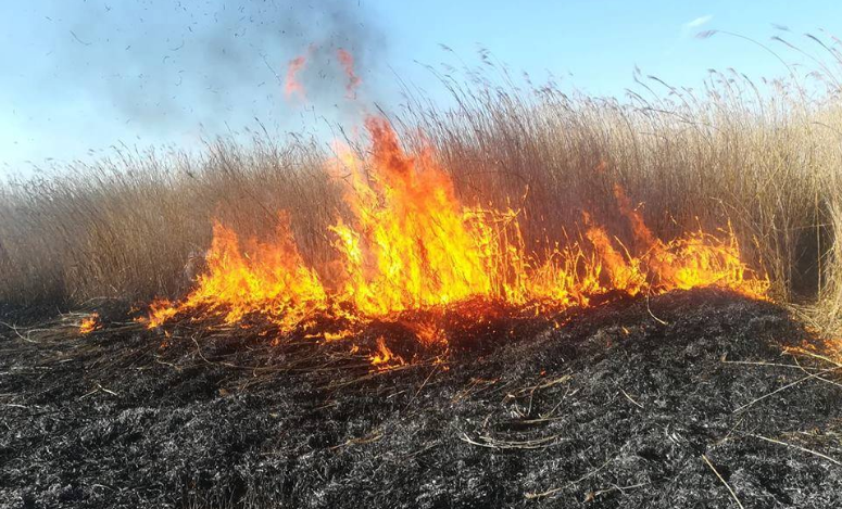 Tragiczny finał wypalania traw. Nie żyje 62-letni mężczyzna