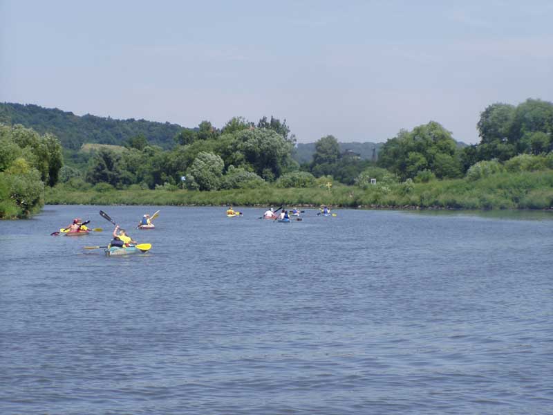 Osoby z niepełnosprawnościami będą pływać kajakami i posprzątają krakowskie rzeki. Pierwsza akcja – już 15 sierpnia!