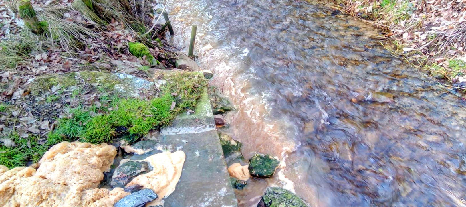 Nieoczyszczone ścieki spływają do rzeki Prądnik. „Katastrofa ekologiczna, smród urywa głowę”