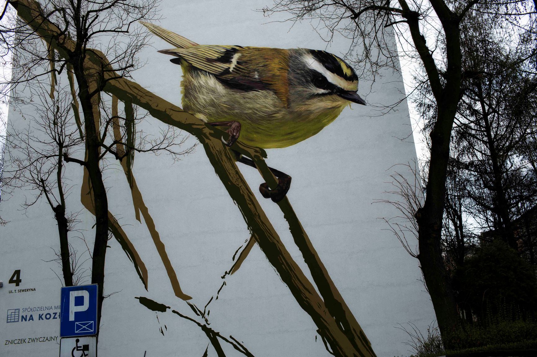 Niesamowite murale – ptaki ożywiły stare osiedle [zdjęcia]