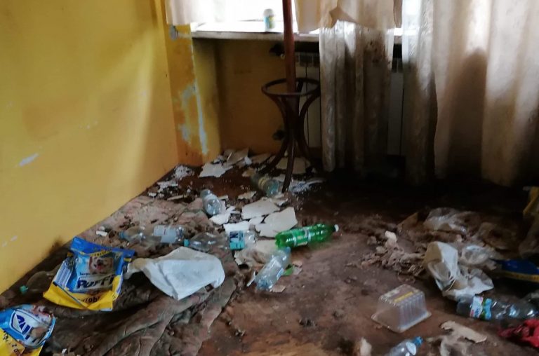 Fot. FB Krakowskiego Towarzystwa Opieki nad Zwierzętami