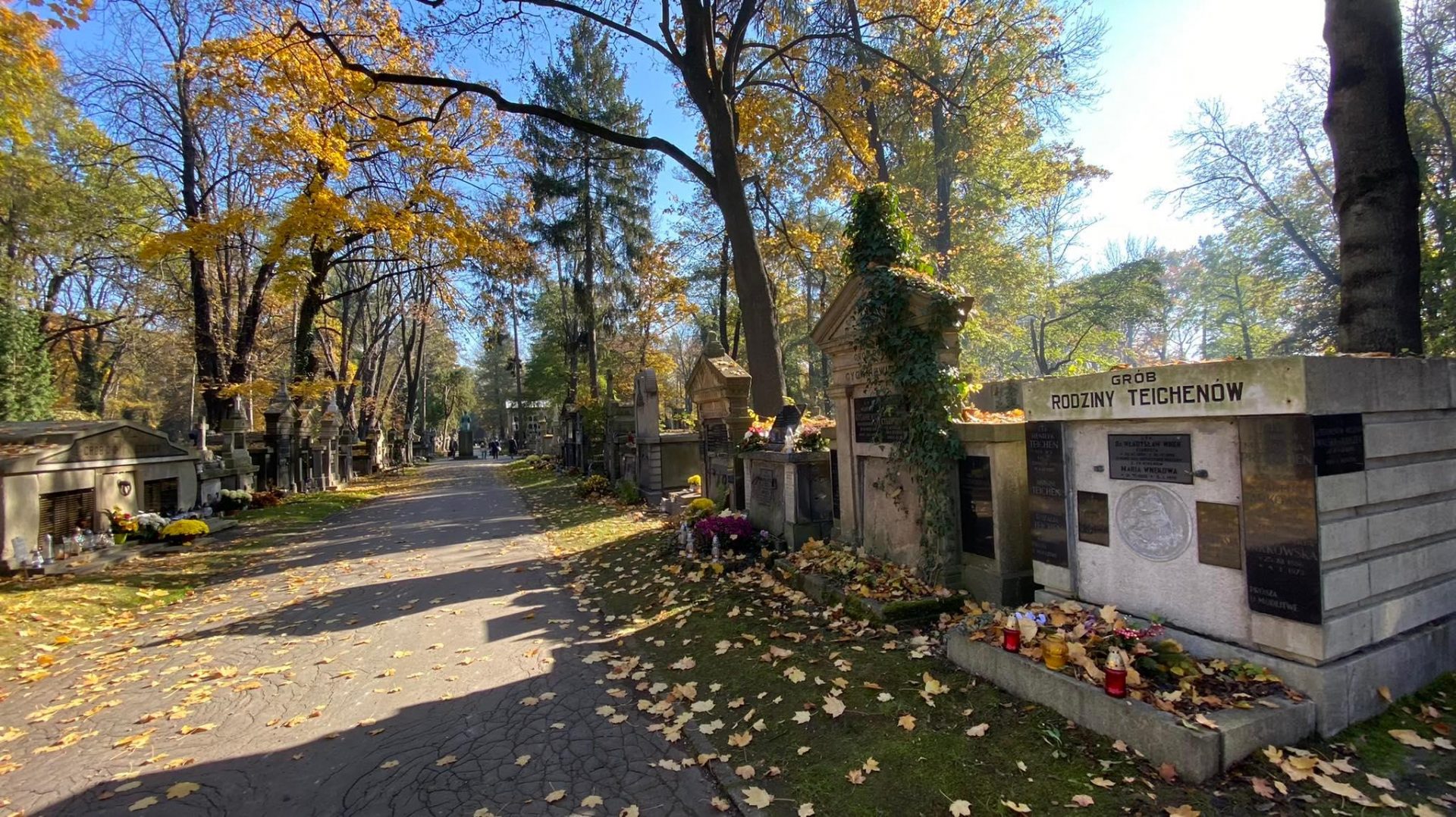 247252190_269006865141981_3283397611237872439_n