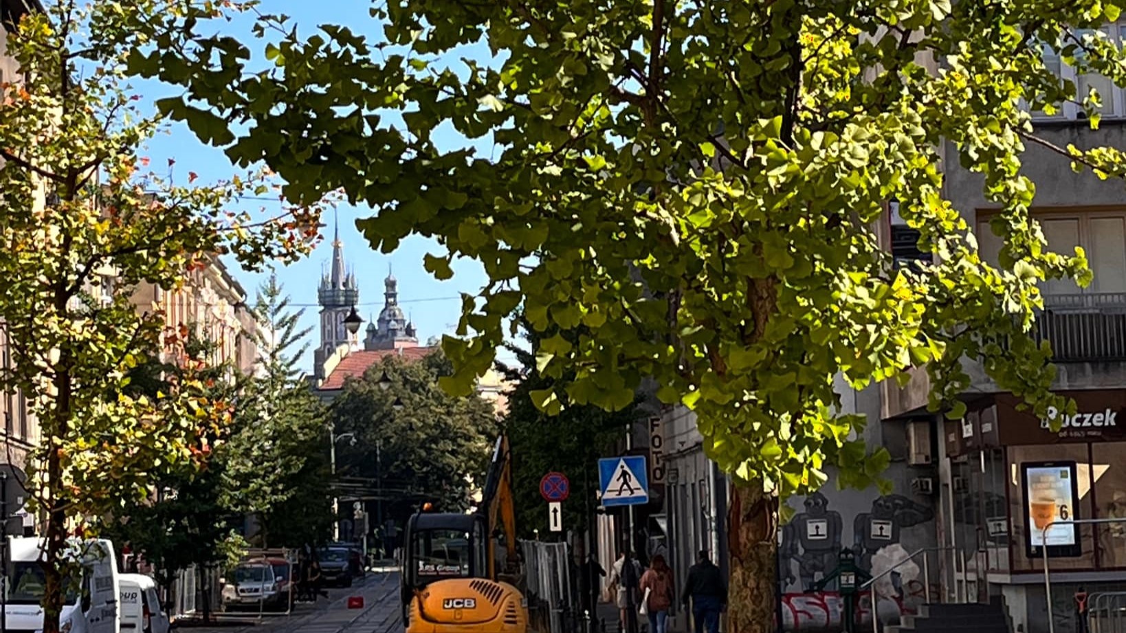 Co sie stanie z drzewami przy przebudowie ulicy Kościuszki i Zwierzynieckiej?