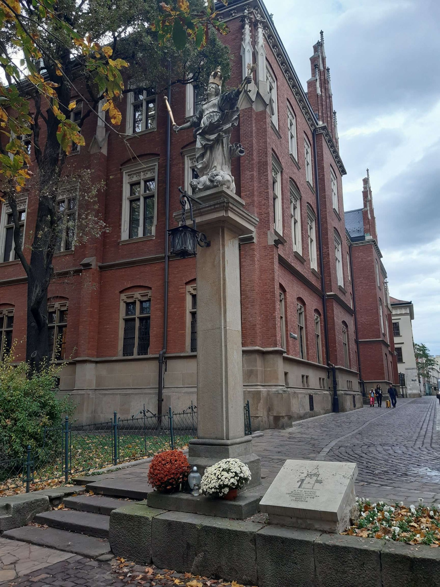 Kraków. Niesprzedane chryzantemy ozdobiły centrum miasta