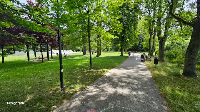 Apelują do Donalda Tuska o wyższe kary za wycinkę drzew