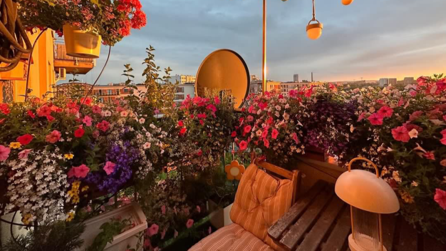 Kwiatowy Balkon w Krakowie – miasto pomaga samotnym seniorom zazielenić balkony