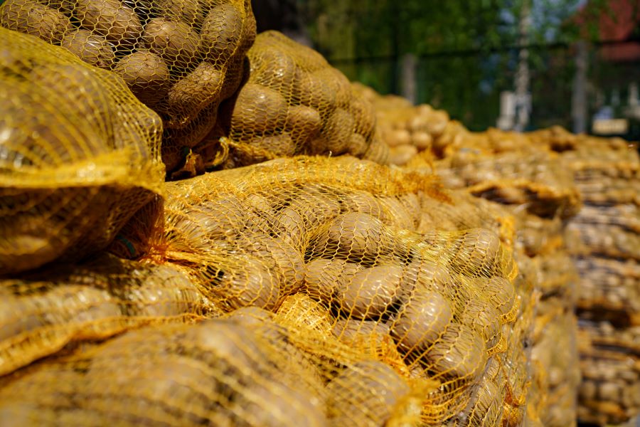 „Chodźże żywo po warzywo” – 30 ton ziemniaków trafiło do mieszkańców Krakowa [zdjęcia]