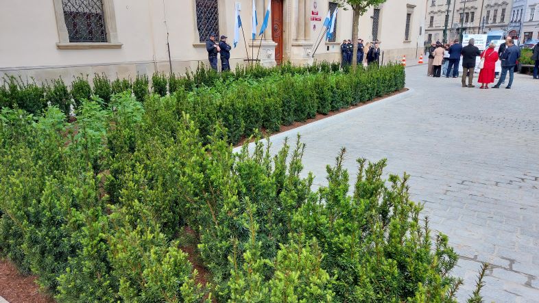 Więcej zieleni przed magistratem – tam, gdzie do niedawna stały limuzyny [zdjęcia]