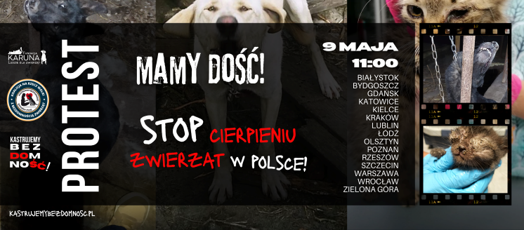 „Mamy dość” – protest na Rynku Głównym w Krakowie i innych miastach w Polsce