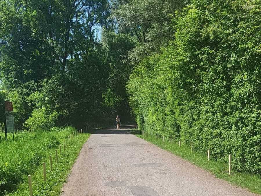 Już niedługo zamknięcie ścieżki pieszo-rowerowej na Zakrzówku