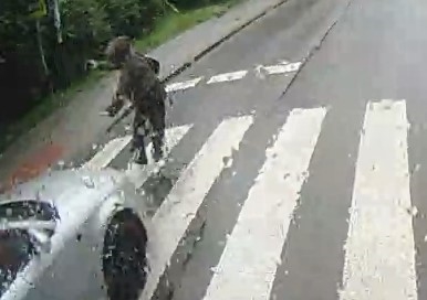 Potrącenia na pasach, jedno ze skutkiem śmiertelnym. Sprawcy uciekli, ale są w rękach policji