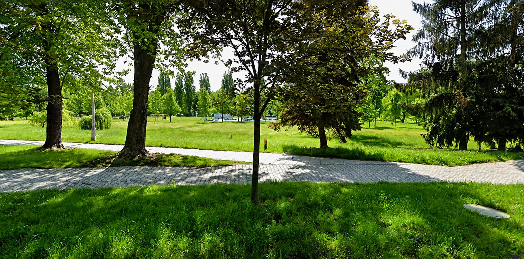 Blisko milion złotych na nowe atrakcje na Plantach Mistrzejowickich. Są trzy oferty