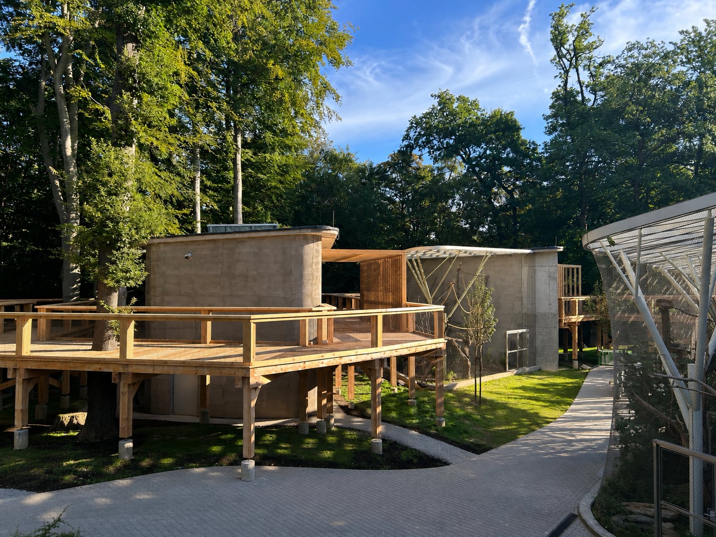 Spacer wśród koron drzew i podglądanie zwierząt z bliska. Nowa atrakcja w krakowskim ZOO