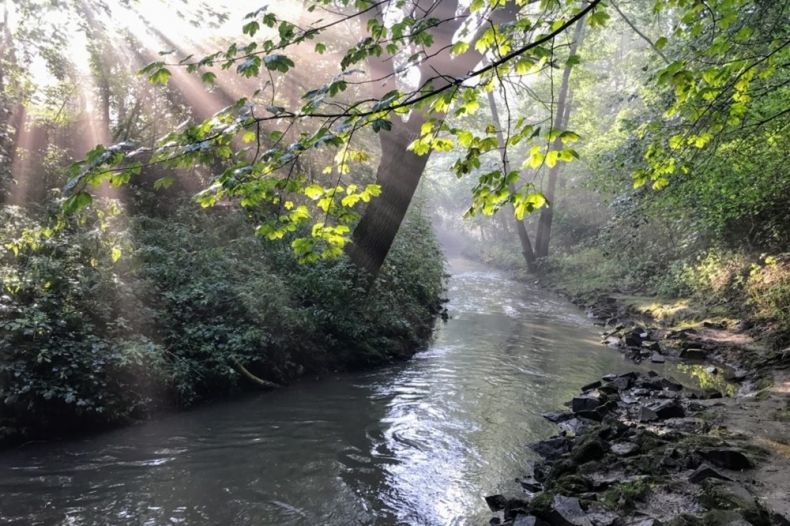 Deszcz ich nie zatrzymał. Z kajaków sprzątają Dłubnię w Nowej Hucie