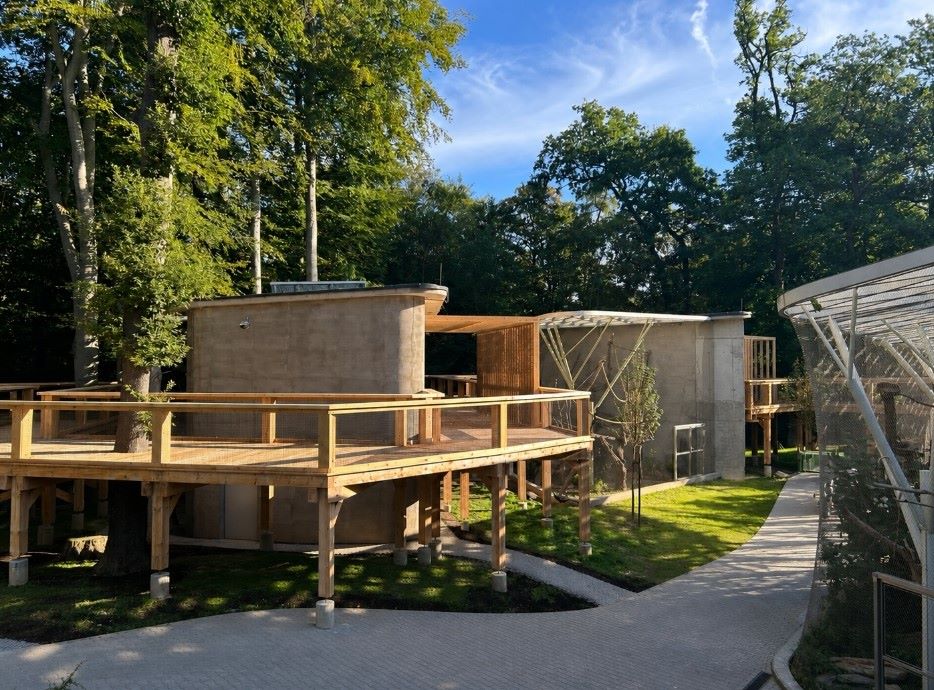 Kładka w koronach drzew – nowa atrakcja w krakowskim ZOO